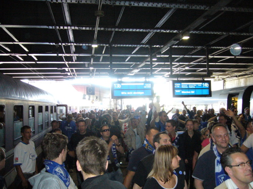 Hamburger SV - VfL Bochum - photo